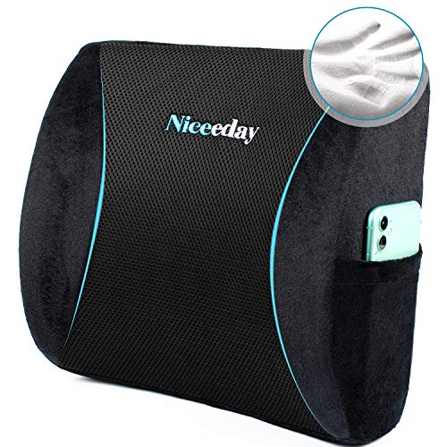 Niceeday Memory Foam Lumbar Support Back Pillow Coccyx Orthopedic Cushion  for Office Chair,Car,3D Mesh Lumbar Support Pillow for
