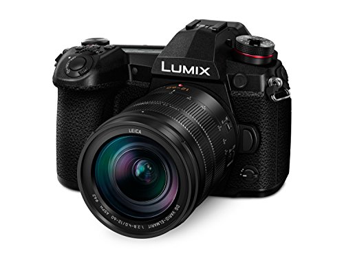 Panasonic LUMIX G9 Mirrorless Camera, Micro Four Thirds, 20.3 Megapixels Plus 80 Megapixel, High-Resolution Mode with LUMIX G