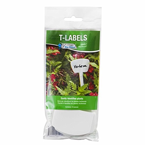 Gardener's Blue Ribbon T023B T-Labels for Plants, 6"