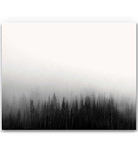 MotivatedWallArt Forest Print Forest Photography Woodland Print Black and White Forest Forest Art Nature Photography Nature Wall Art