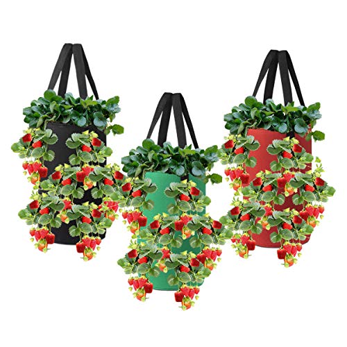 Nicheo 3 Pcs 3 Gallon Hanging Strawberry Planter, Hanging Aeration Planter for Strawberry, Tomato and Hot Pepper, Strawberry