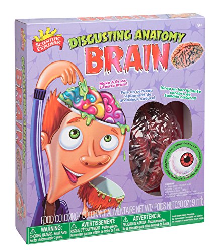 Scientific Explorer Disgusting Anatomy Brain