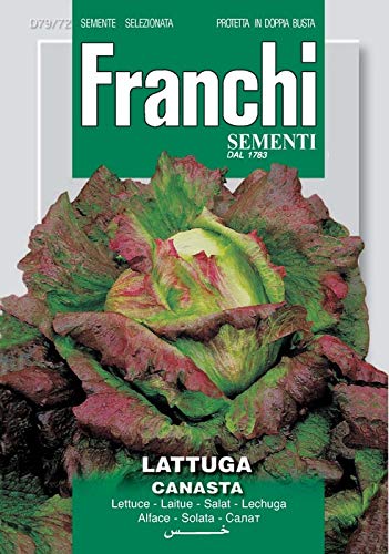 The Heirloom Seed Store Italian Heirloom Lettuce, Canasta [Kitchen]
