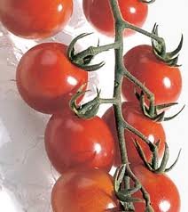 seed kingdom Tomato Chadwick Cherry Great Heirloom Garden Vegetable Seeds by Seed Kingdom (30 Seeds)