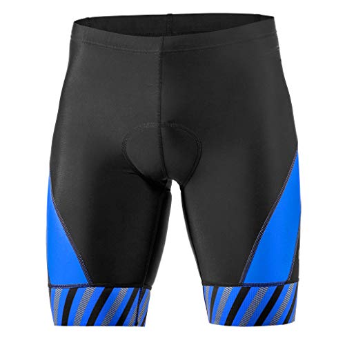 SLS3 Triathlon Shorts Men 8" | Tri Shorts for Men | Tri Shorts Men | Tri-Shorts FX Z (Black/Blue Stripes, L)