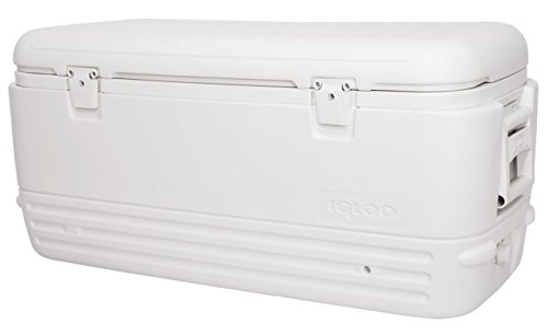 Igloo 120 Quart Polar Extra Large Insulated Portable Ice Chest Beverage Cooler, White,
