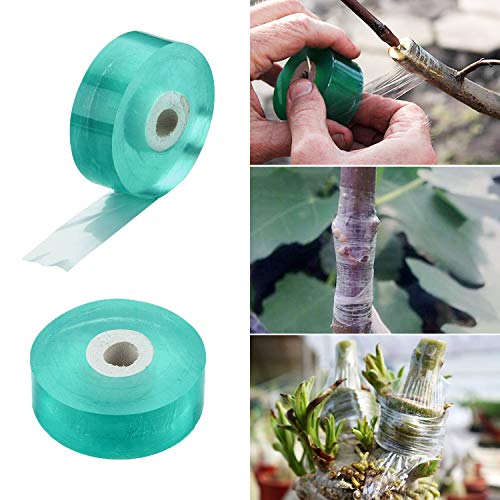 ANCIRS 2 Pack Grafting Tape, Moisture Barrier, Stretchable Clear Floristry Film for Fruit Tree Plant (Green 0.78in Wide)
