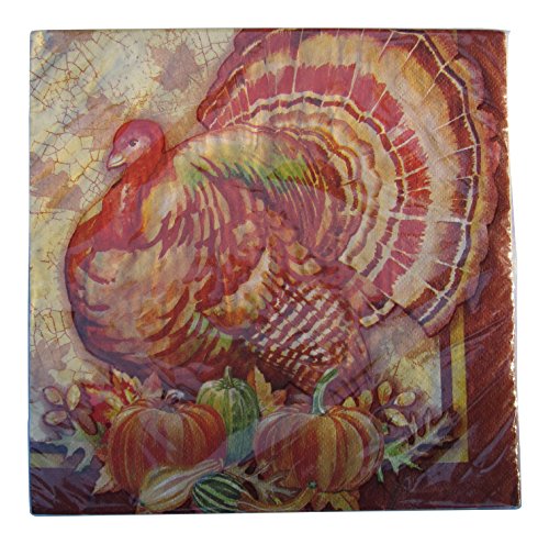 WMInc Thanksgiving Turkey Decorative Dinner Napkins, 20 Count