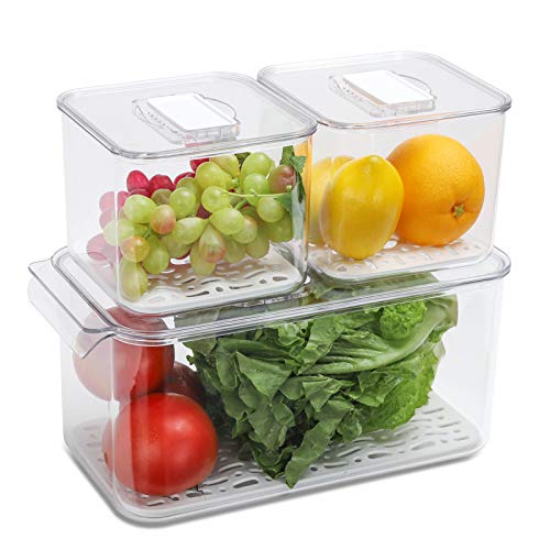 REFSAVER Fridge Storage Containers Produce Saver Stackable Refrigerator