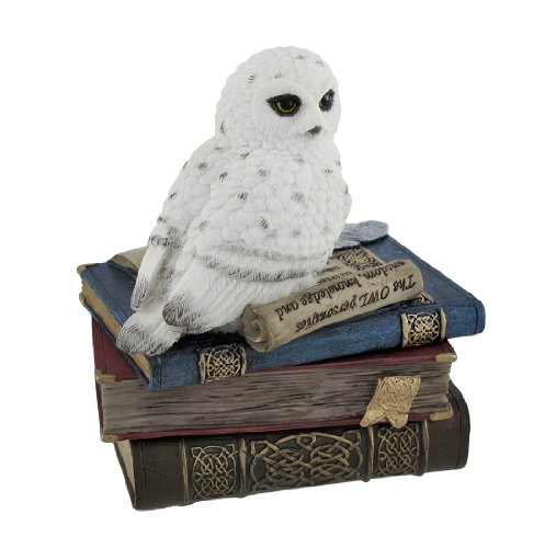 Veronese Wise Snow Owl Resting on Scholar`s Books Trinket Box