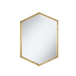 Coaster Bledel Hexagon Shaped Wall Mirror Gold