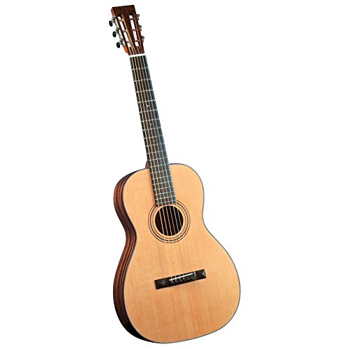 Blueridge Guitars 6 String Acoustic Guitar, Right Handed (BR-341)