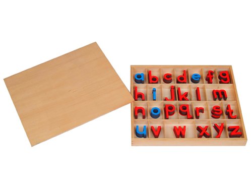 Kid Advance Montessori Small Movable Alphabets w/ Box