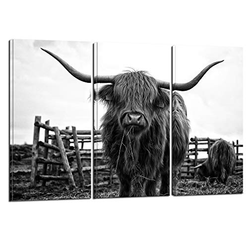 Nachic Wall Nachi Wall - 3 Piece Animal Canvas Wall Art Black and White Highland Cow Pictures Longhorn Cattle Wall Painting Prints