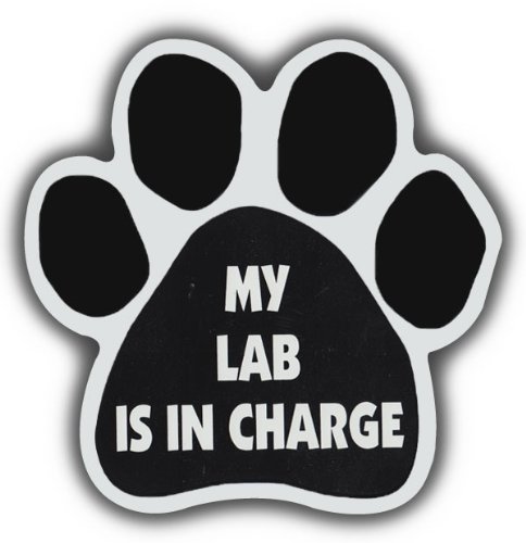 Crazy Sticker Guy Dog Paw Shaped Magnets: MY LAB IS IN CHARGE | Cars, Trucks, Refrigerators