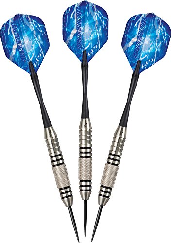 Viper by GLD Products Viper Silver Thunder Steel Tip Darts, 24 Grams
