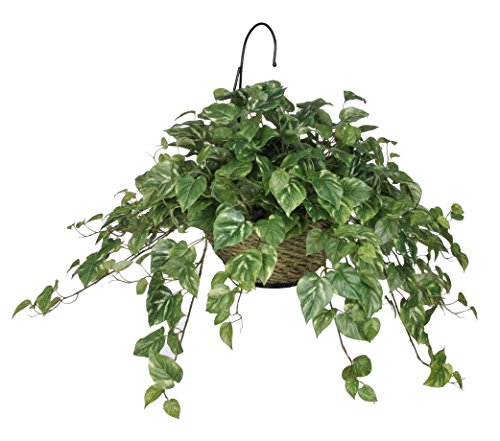 House of Silk Flowers Artificial Pothos Hanging Basket