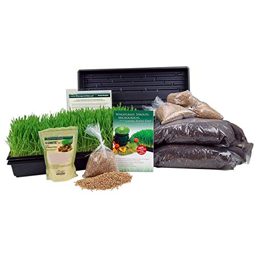 K1 Living Whole Foods Certified Organic Wheatgrass Growing Kit