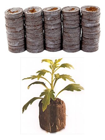 Jiffy 50 Count - Jiffy 7 Peat Pellets - Seed Starter Soil Plugs - 36 mm - Start Seedlings Indoors - Easy to Transplant to Garden