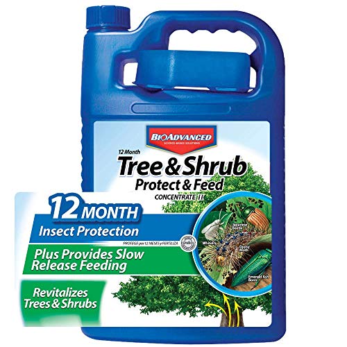 BioAdvanced Bio Advanced 701615 12 Month Tree and Shrub Protect and Feed Concentrate, 1-Gallon