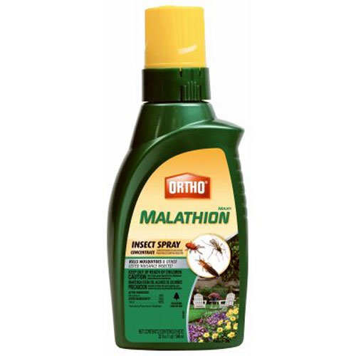Ortho MAX Malathion Insect Spray Concentrate, 32 oz.