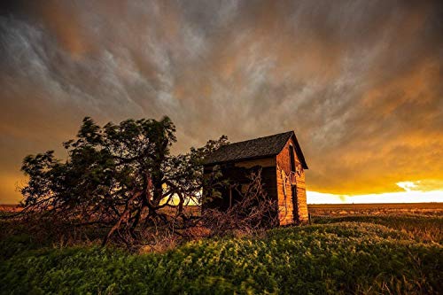 Southern Plains Photography Country Photography Wall Art Print - Picture of Old Barn and Tree Under Stormy Sky at Sunset in Oklahoma - Unframed Modern