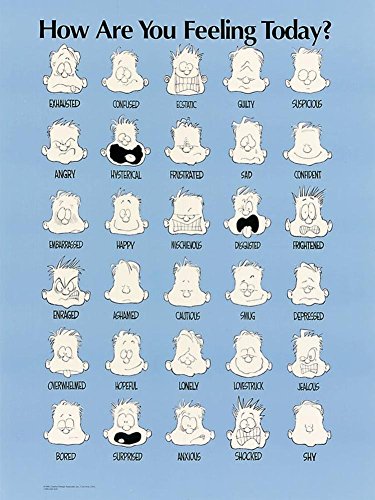 Poster Discount Laminated How Are You Feeling Today By Jim Borgman 