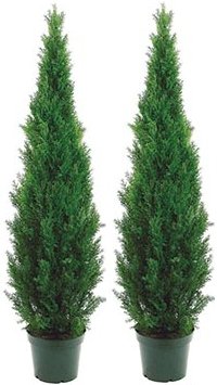 Silk Tree Warehouse Two 5 Foot Outdoor Artificial Cedar Topiary Trees Potted Plants Two Peace Construction