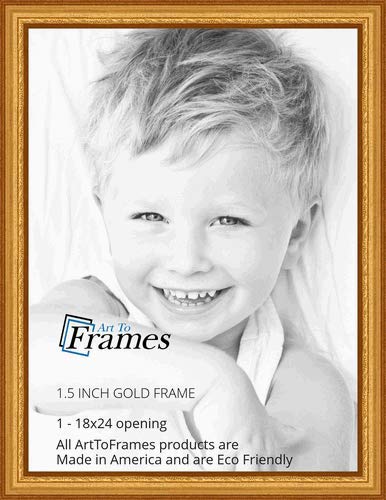 ArtToFrames 18x24 inch Gold Speckeled Wood Picture Frame, WOMTI-795-18x24