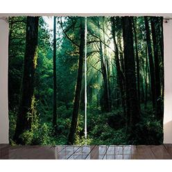 Ambesonne Nature Curtains, Sunset in Woods Sun Beaming Through Forest Trees Wilderness Scenery, Living Room Bedroom Window