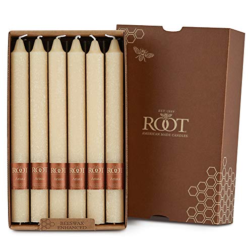 Root Candles Root Unscented Timberline Arista Dinner Candles, 9-Inch Tall, Box of 12, Buttercream