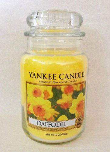 Yankee Candle 1002871 Daffodil Yankee Candle 22oz Jar Candle