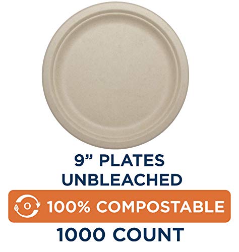 World Centric 100% Compostable Plates by World Centric, Made from Ubleached Plant Fiber, 9" Plates (Pack of 1000) (PL-SC-U9)
