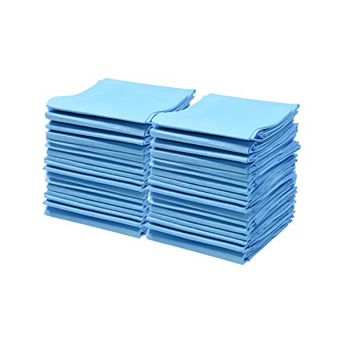 A World of Deals Disposable Blue Underpad 23 X 36, 150/Case