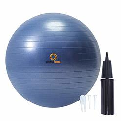 Primasole ã?Amazon.com Limited Brandã?? Exercise Ball (29.5inch Indigo Blue) for Stability, Balance, Fitness with Inflator