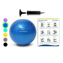 ProBody Pilates Mini Exercise Ball with Pump - 9 Inch Small Bender Ball for Stability, Barre, Pilates, Yoga, Core Training and Physical