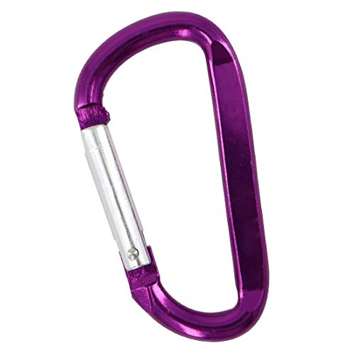 Gisdanchz 2 D-Ring, Keychain Mini Carabiner Hooks Backpack Hanger for Camping Small D Ring for Boat Hiking Pack Accessories