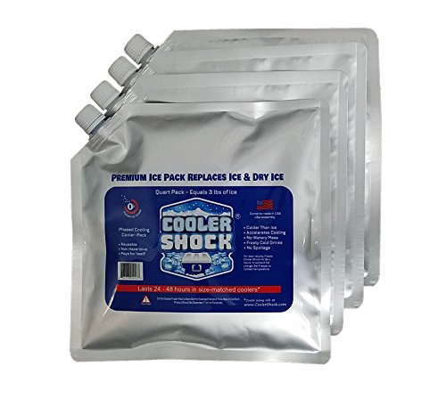 Cooler Shock Mid-Size Cooler Freeze Packs 10x10 inch Screw