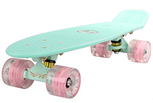 Lmai Skateboards LMAI 22'' Cruiser Skateboard Graphic Mini Complete Skateboard (Light Blue)