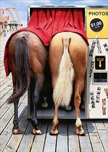 Avanti Press Horses in Photo Booth - Avanti Funny/Humorous Birthday Card