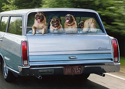 Avanti Press Pug Dogs in Station Wagon Avanti Humorous/Funny Birthday Card