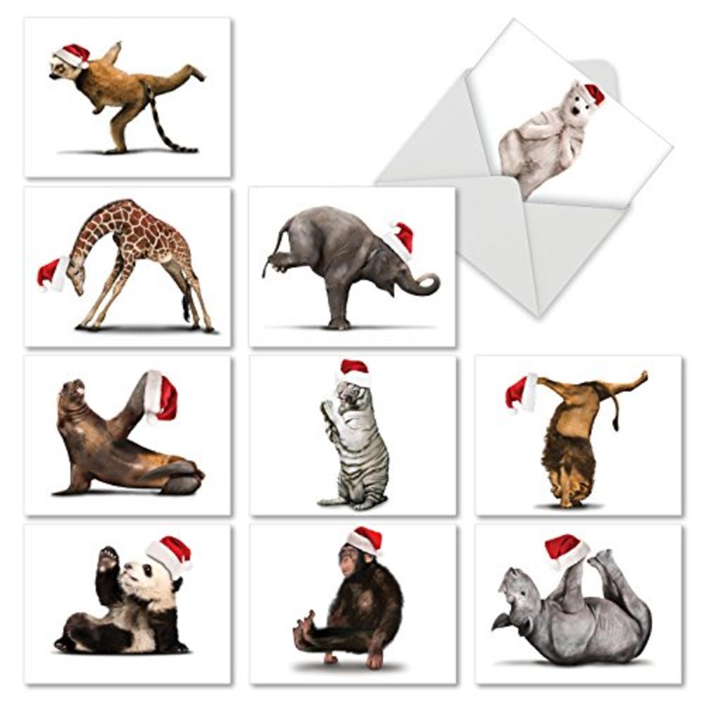 The Best Card Company M6547XSG Yuletide Zoo Yoga Christmas Greeting Cards,  Boxed Set of 10 Holiday Animals in Yoga Poses 4 x  inch, Assorted Yogi  Animal