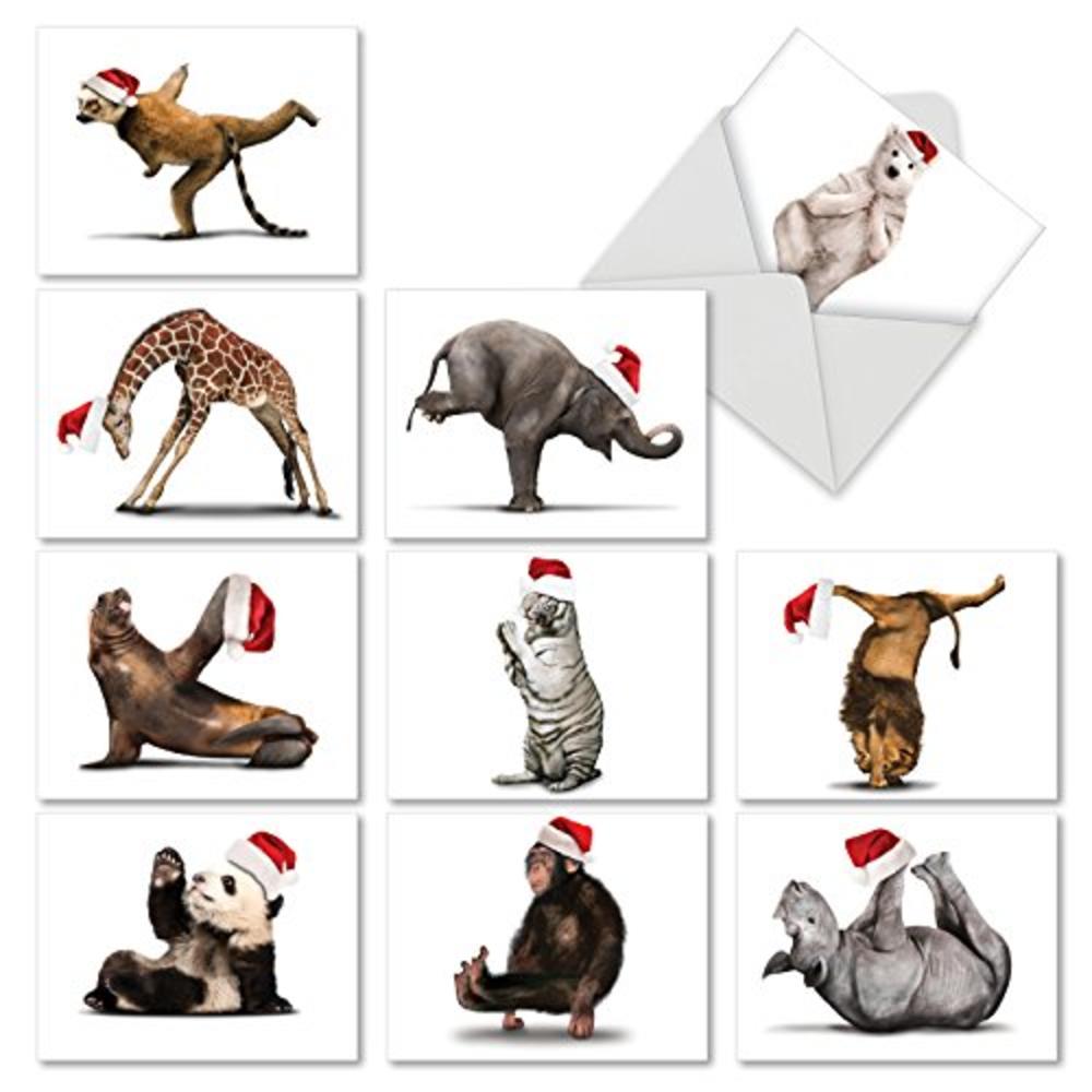 The Best Card Company M6547XSG Yuletide Zoo Yoga Christmas Greeting Cards, Boxed Set of 10 Holiday Animals in Yoga Poses 4 x inch, Assorted Yogi Animal The Best Card Company M6547XSG Yuletide Zoo Yoga Christmas Greeting Cards, Boxed Set of 10 Holiday Animals in Yoga Poses 4 x inch, Assorted Yogi Animal