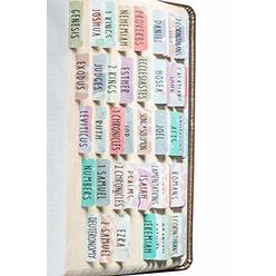 DiverseBee Laminated Bible Tabs (Large Print, Easy to Read), Personalized Bible Journaling Tabs, 66 Book Tabs and 18 Blank Tabs 
