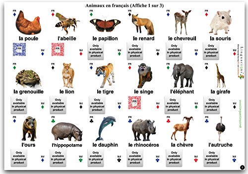 Linguacious Premium French Animals Home and School Poster (with Audio, Set  of 3 Posters, 54 Animals)