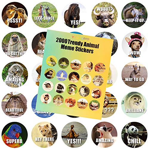 Youngever 2000 Pack Reward Stickers for Teachers, Animal Meme Reward Stickers, Fun Motivational Stickers for Kids, All Ages