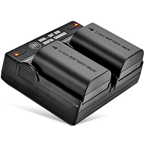 BM Premium 2 Pack of LP-E6NH High Capacity Batteries and Dual Bay Battery Charger for Canon EOS R EOS R5 EOS R6 EOS 90D EOS