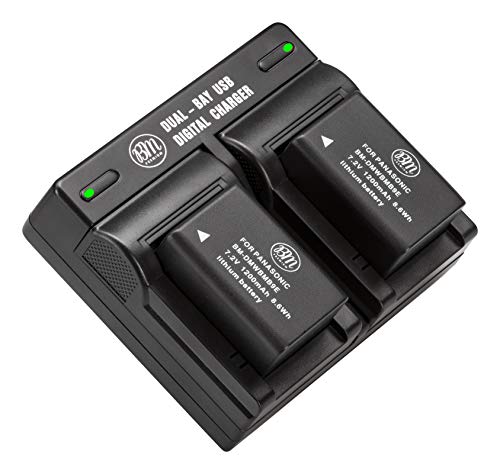 BM Premium 2 Pack of DMW-BMB9 Batteries and Dual Battery Charger for Panasonic Lumix DC-FZ80, DMC-FZ40K, DMC-FZ45K,