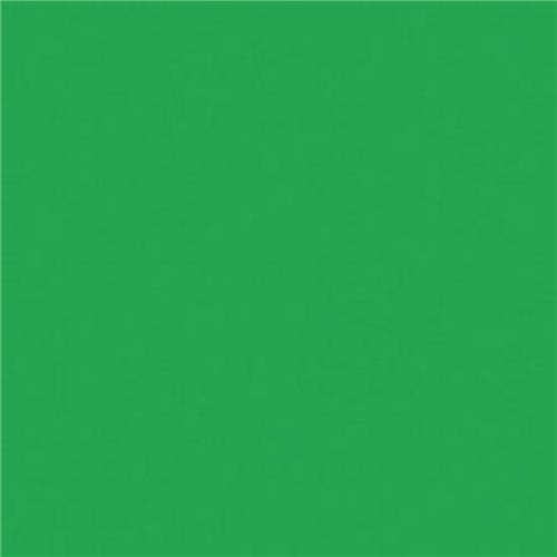 Rosco Roscolux Moss Green, 20x24" Color Effects Lighting Filter