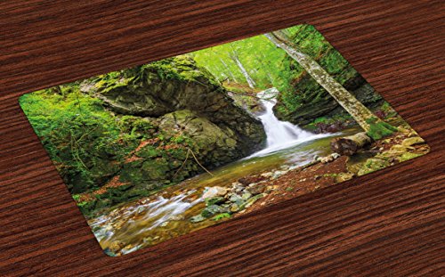 Ambesonne Waterfall Place Mats Set of 4, Waterfall in Spring Season Like Winter in Bulgaria with Trees and Bushes, Washable